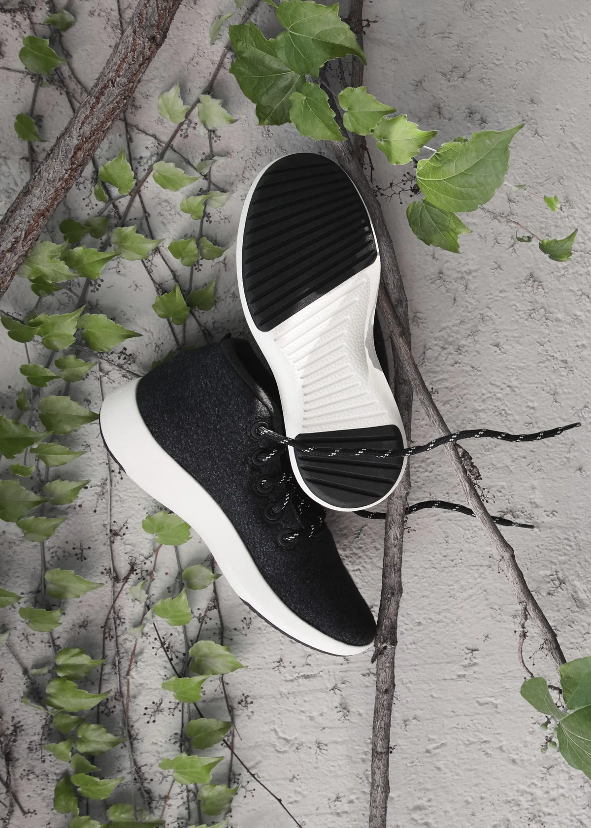 Allbirds