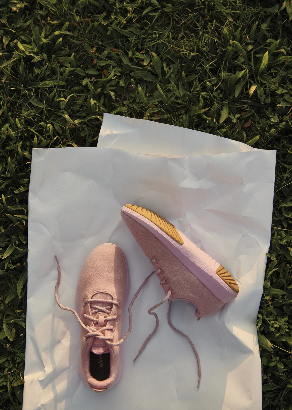 Allbirds
